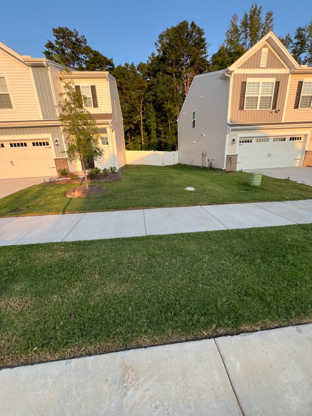 Freshly mowed front lawn along the sidewalk