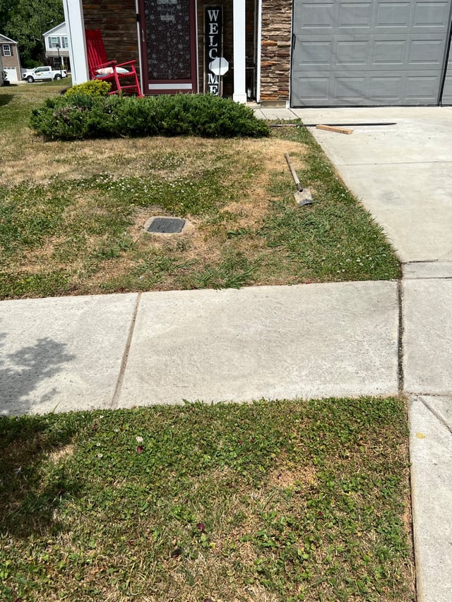 Lawn edged cleanly along a concrete front walkway