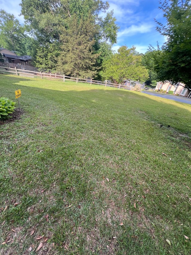 Mowed side yard along a split-rail fence
