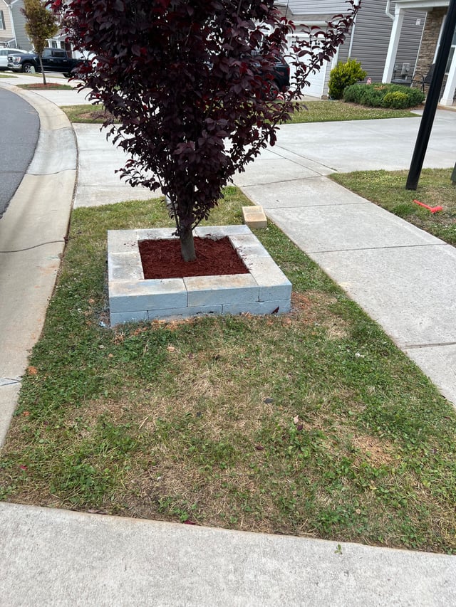 Raised block tree ring filled with red mulch in a front lawn