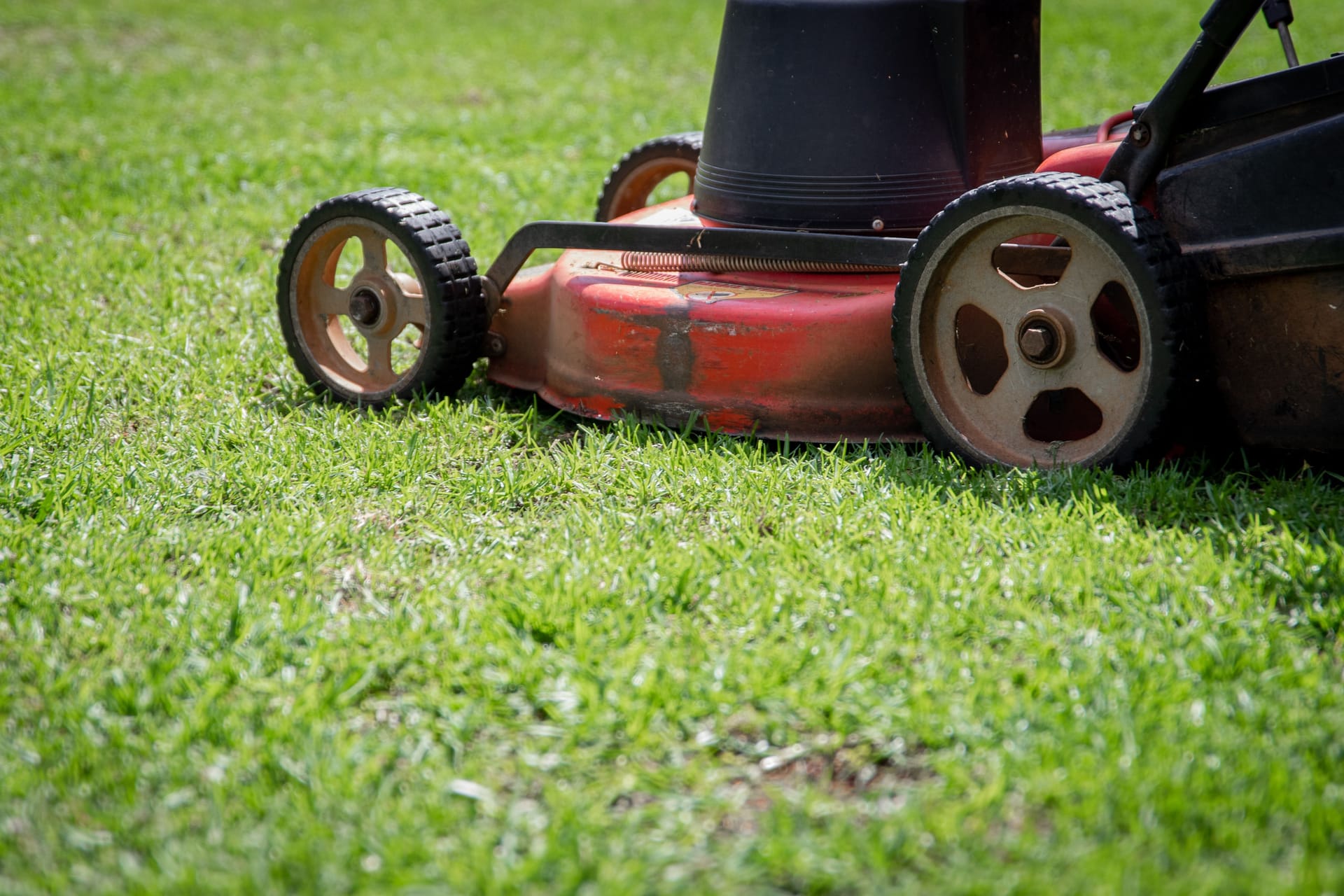 You Are Probably Cutting Your Grass Too Short