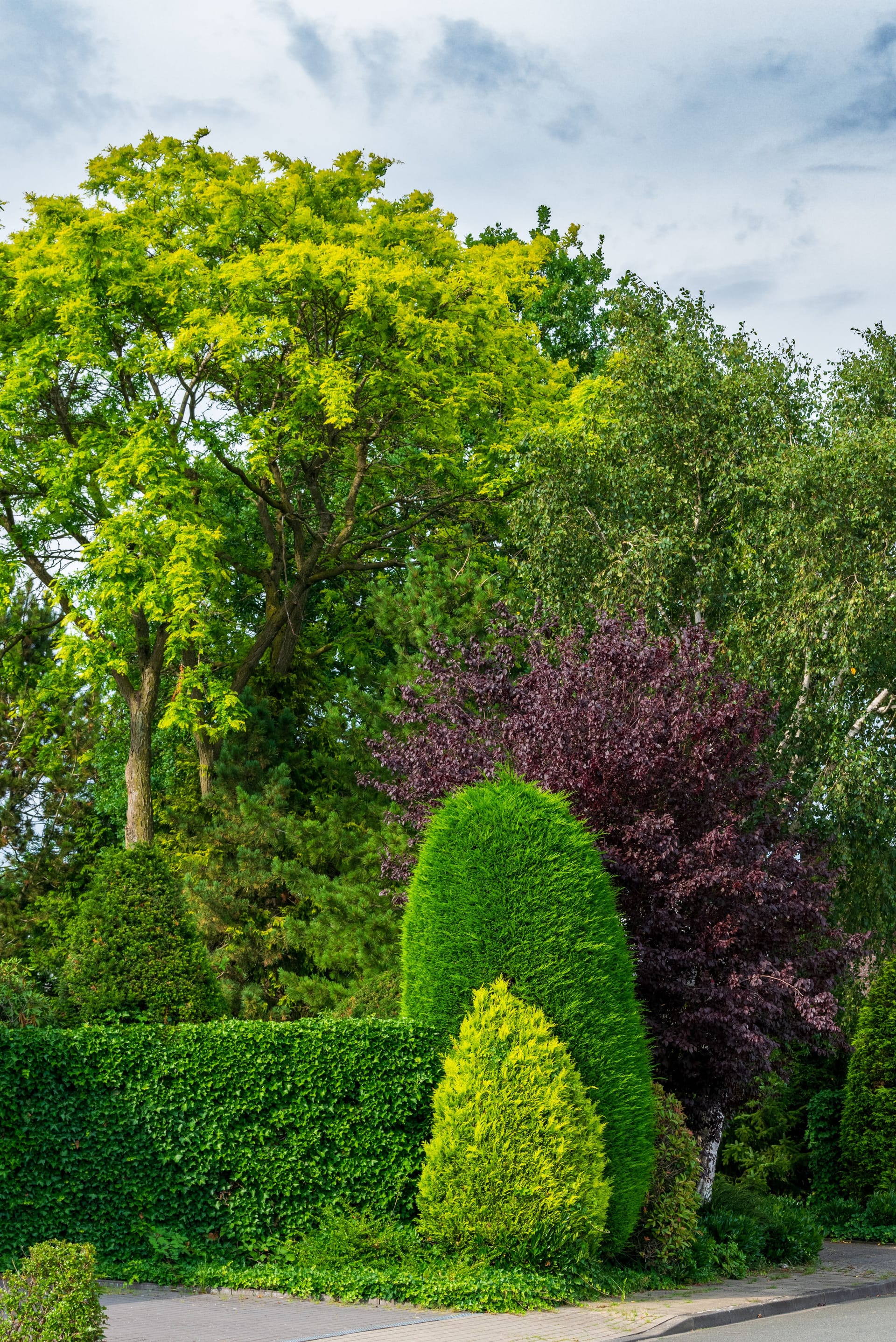 K&R Landscaping services