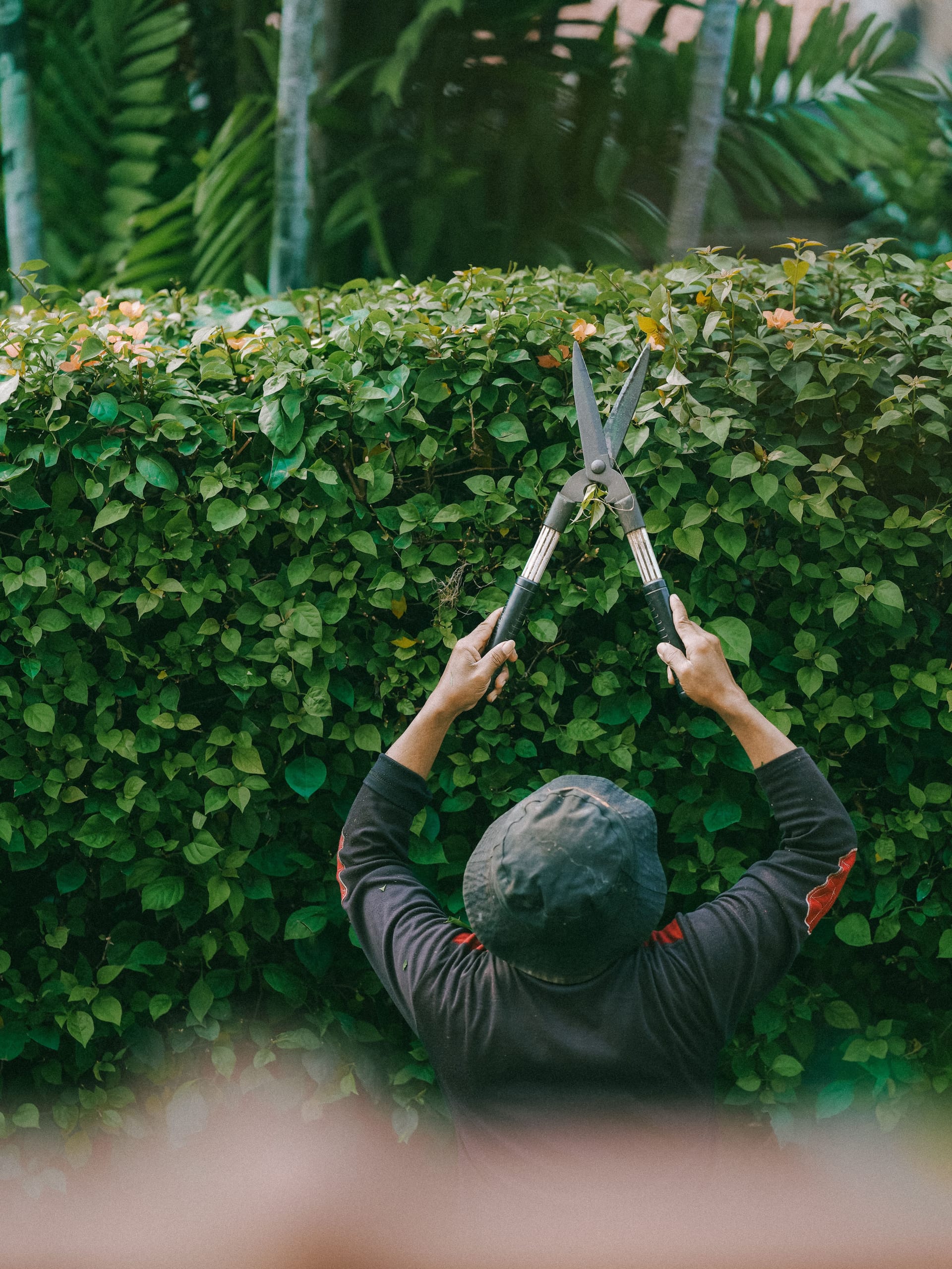Lawn & Landscape Maintenance